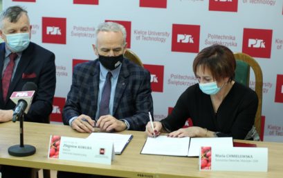 Wiśnia bez pestki