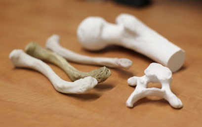 Inżynieria biomedyczna