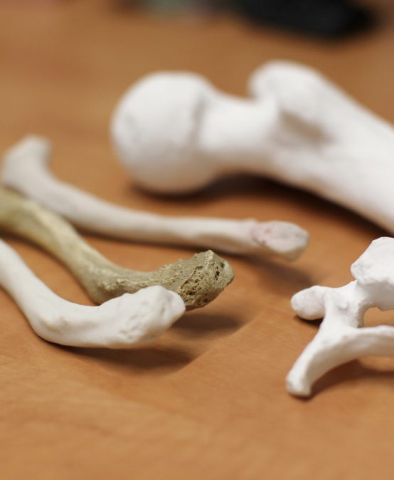 Inżynieria biomedyczna