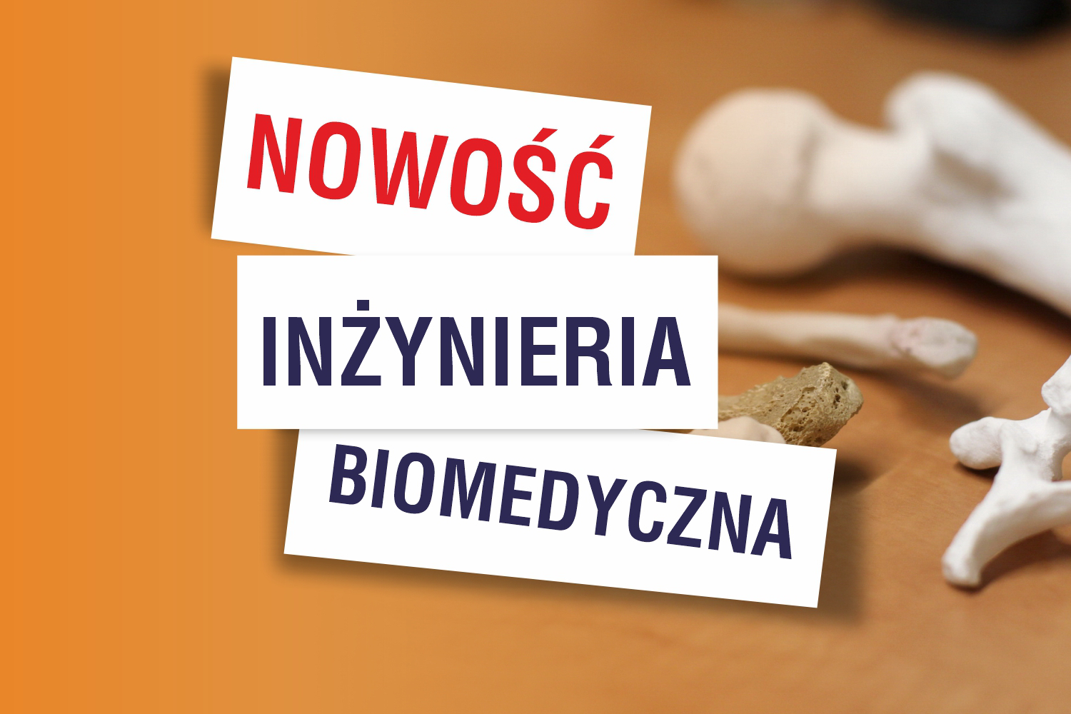 Inżynieria biomedyczna
