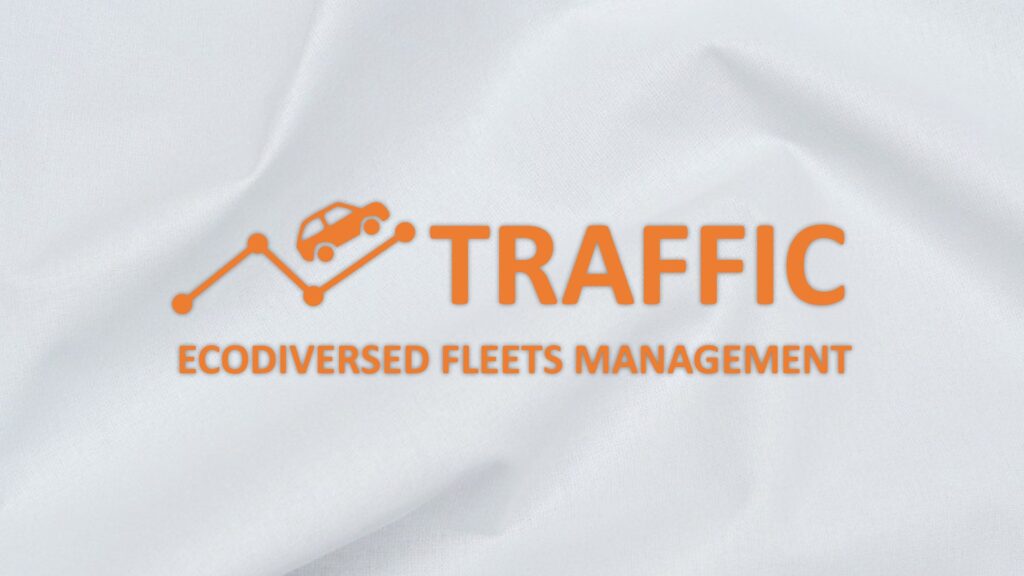 Projekt TRAFFIC