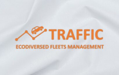Projekt TRAFFIC